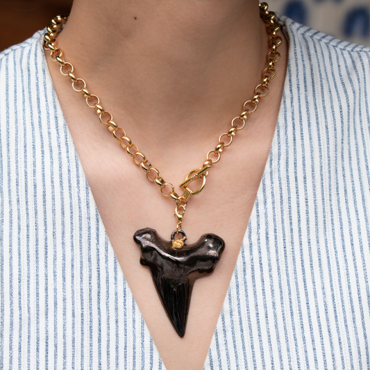 Collar colmillo negro (45 cm)